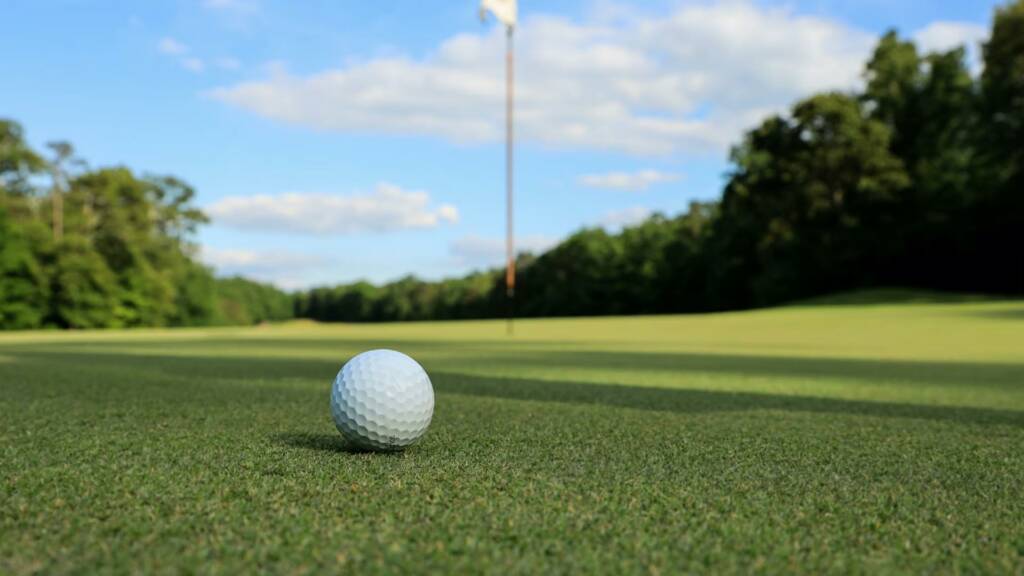 Obbi Golf by Wibble Web Design and Web Development Belfast