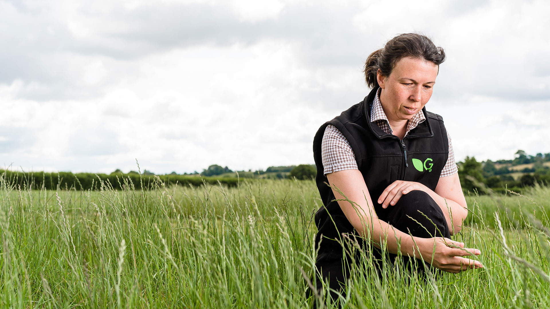 Germinal GB and Ireland by Wibble Web Design and Web Development