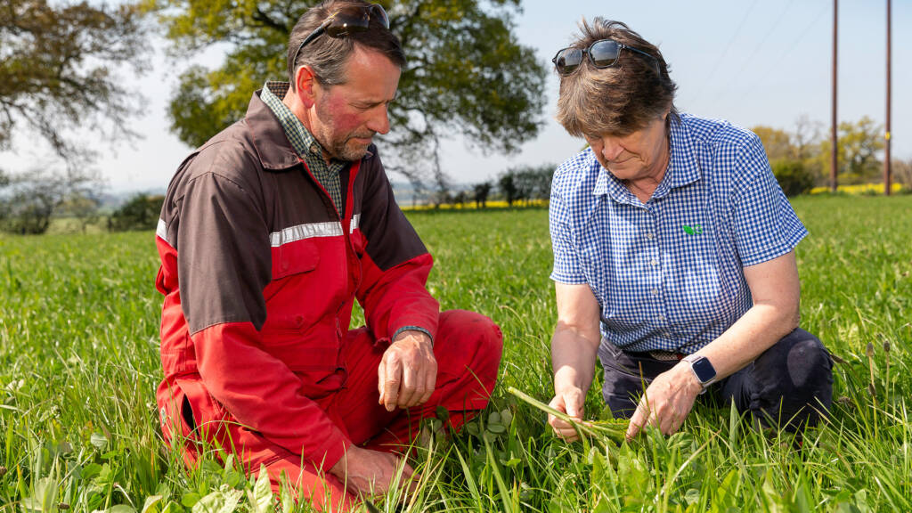 Germinal GB and Ireland by Wibble Web Design and Web Development