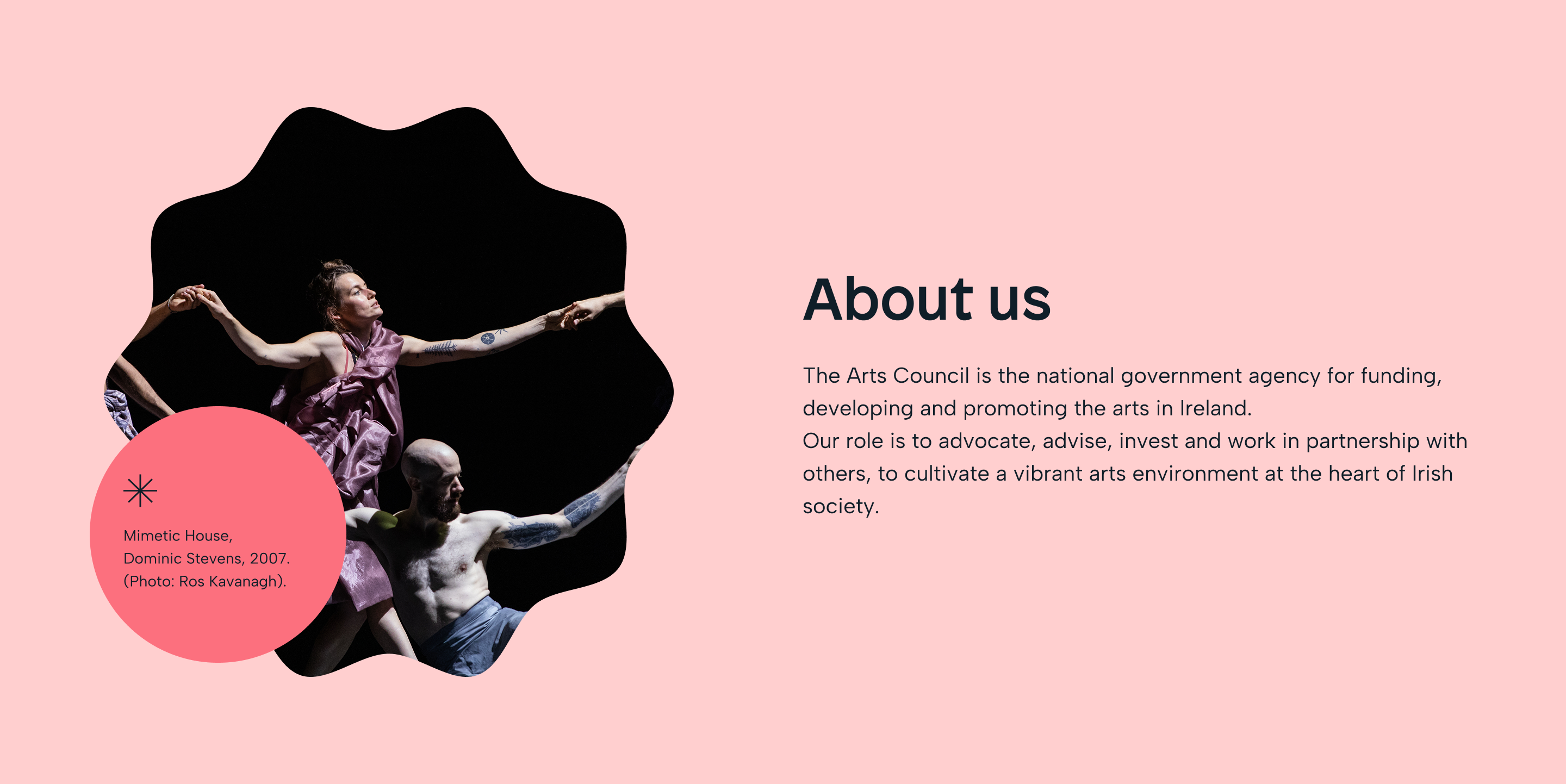 The Arts Council Ireland - By Wibble Web Design and Development - Belfast