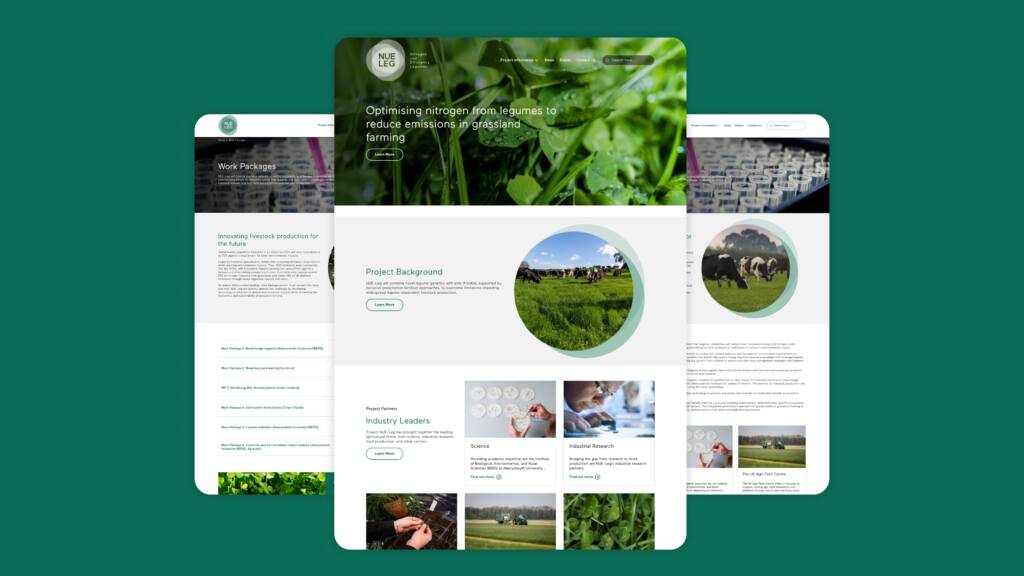 NUEleg website by Wibble Web Design